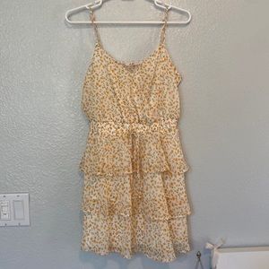 Francesca’s Dress!